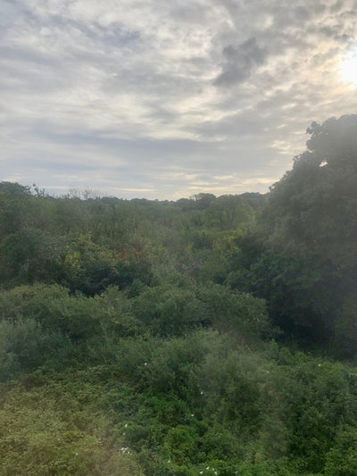 Large top floor apartment in Truro  Main Photo