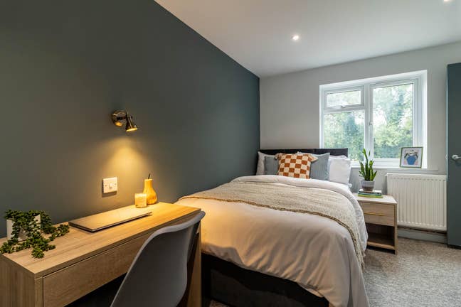 Brand New Double Ensuite room ALL bills included! Main Photo