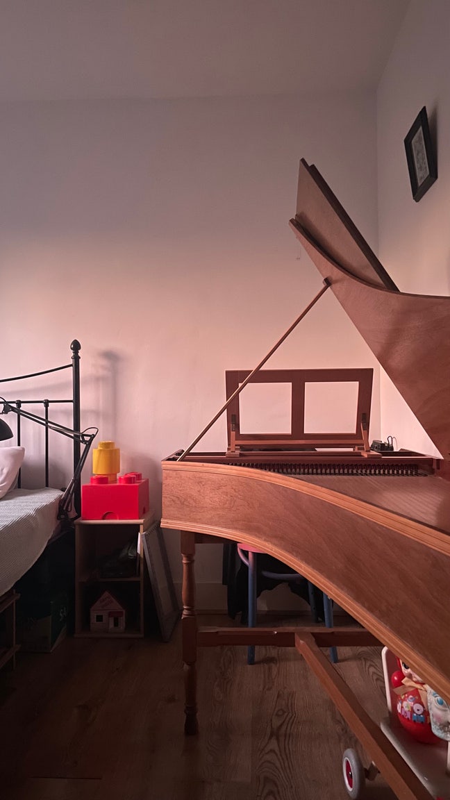 Artist with Harpsichord  Main Photo