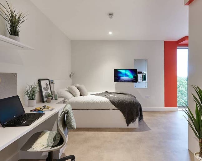 Modern Studio Apartment  Main Photo