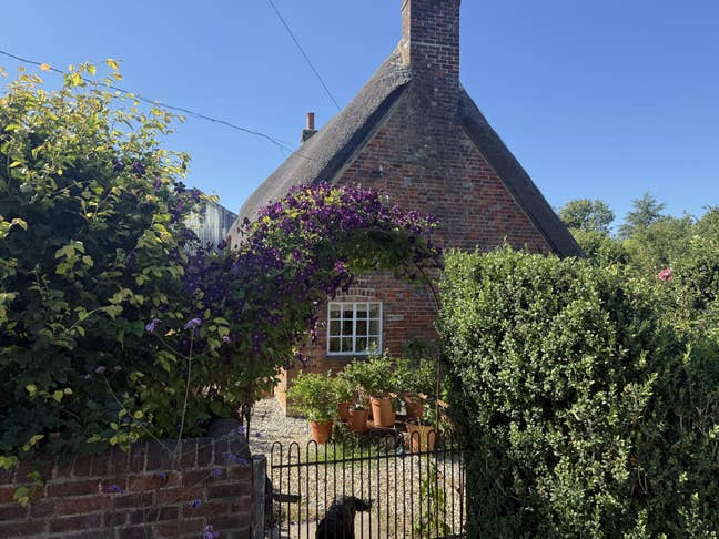 Thatched cottage in Shalbourne  Main Photo