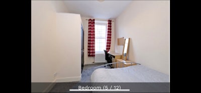 Spacious Room in Modern Flat Available  Main Photo