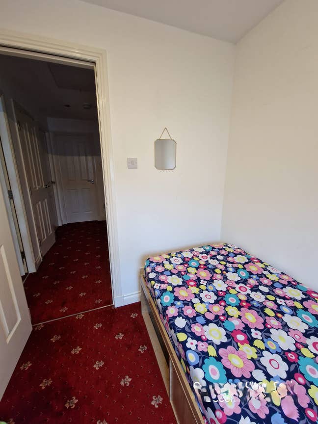 Single Room for students  Main Photo