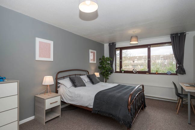 🔥Fantastic Large Double Room CMK Main Photo