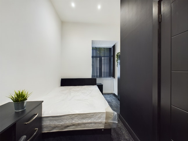 1 Ensutie room available in Brynmill Main Photo