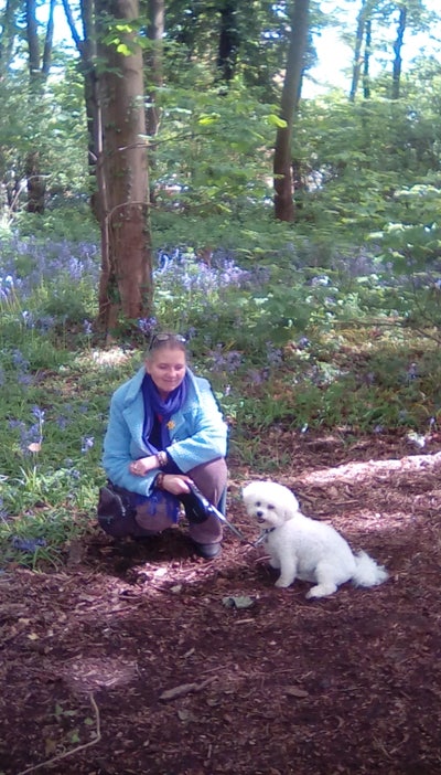 House share wanted Main Photo