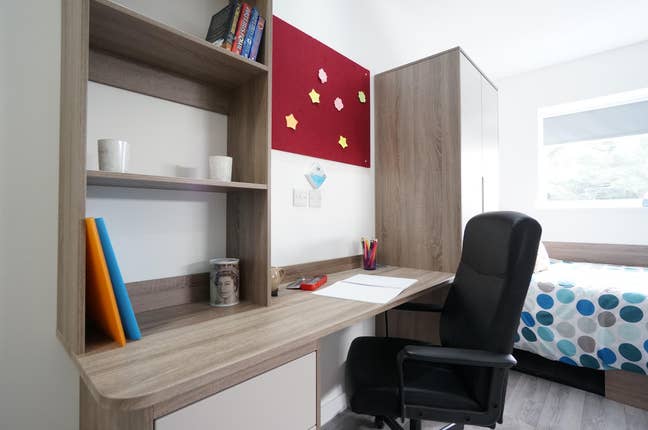 Modern Studio in Upper Bangor  Main Photo