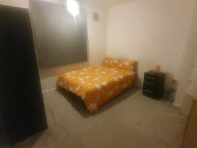 Very busy professional / student. Main Photo