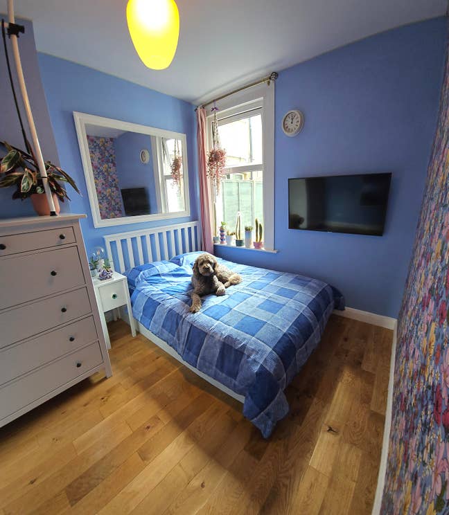 Lodger wanted: double room in maisonette w/garden Main Photo