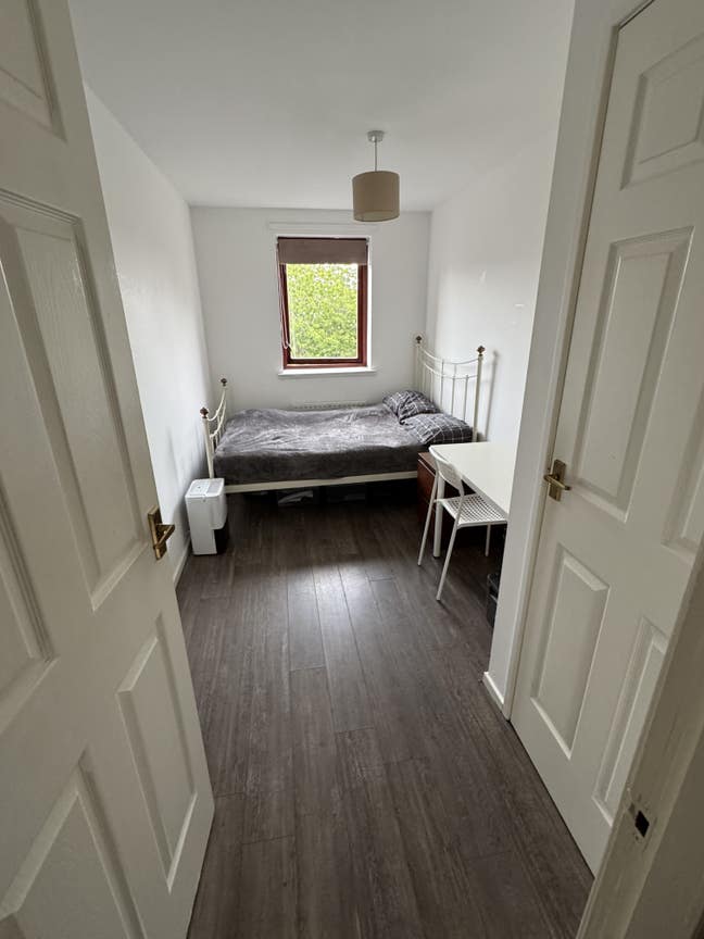 Spacious Room for Rent Main Photo
