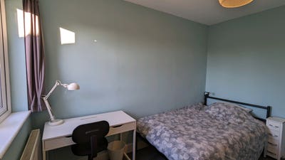 Lovely Home w/ Young Professionals. All Bills Incl Main Photo