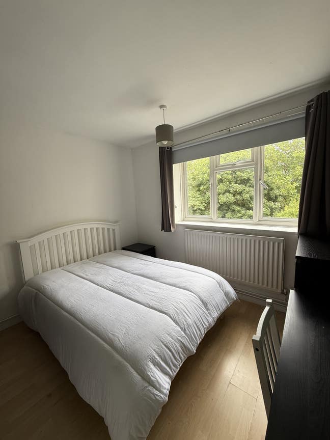 🏡 Room Available in Battersea Park Main Photo