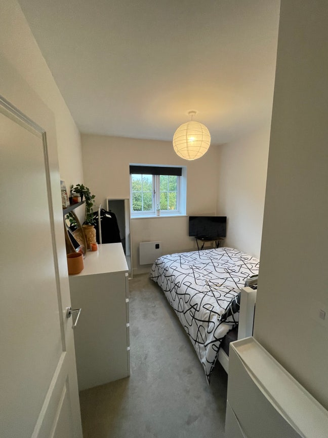 Double room in new flat Main Photo