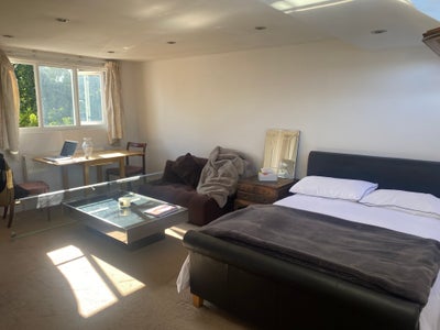 Huge, beautiful Studio with kitchen & bathroom Main Photo