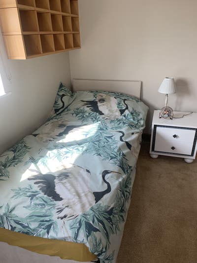 Single room in large house Main Photo