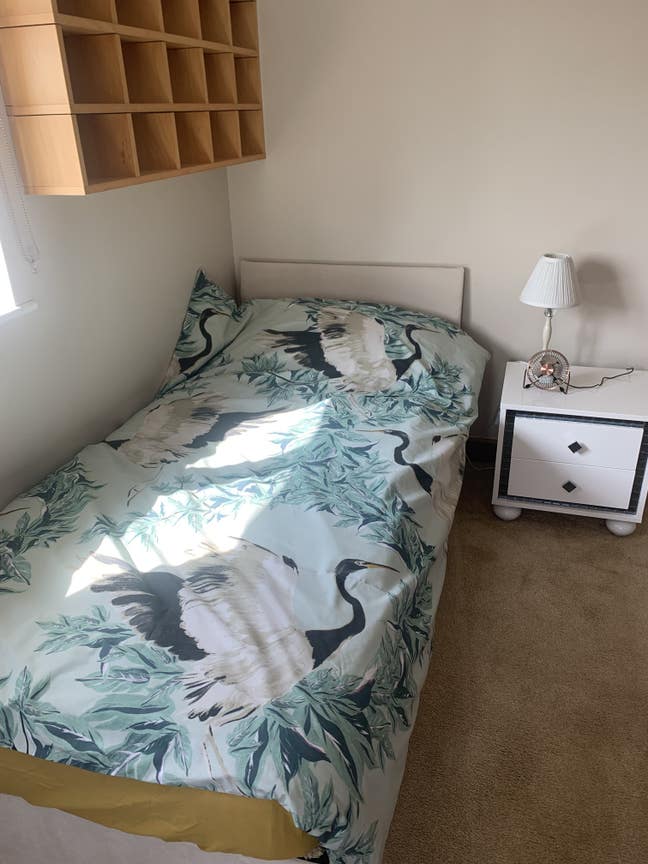 Single room in large house Main Photo