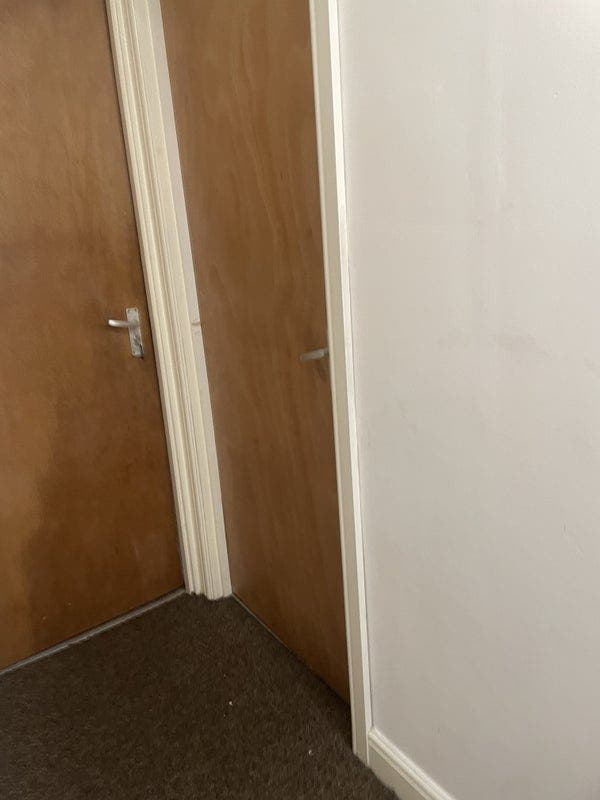 House mate wanted for quiet chilled house Main Photo