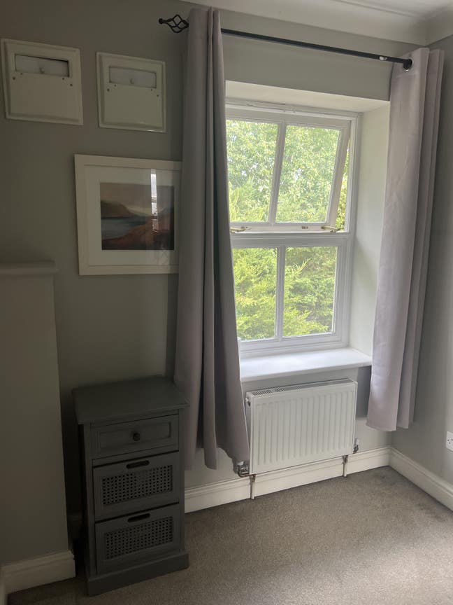 Beautiful Peaceful Single Room Available for Rent  Main Photo