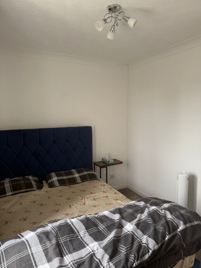 Room to let Main Photo