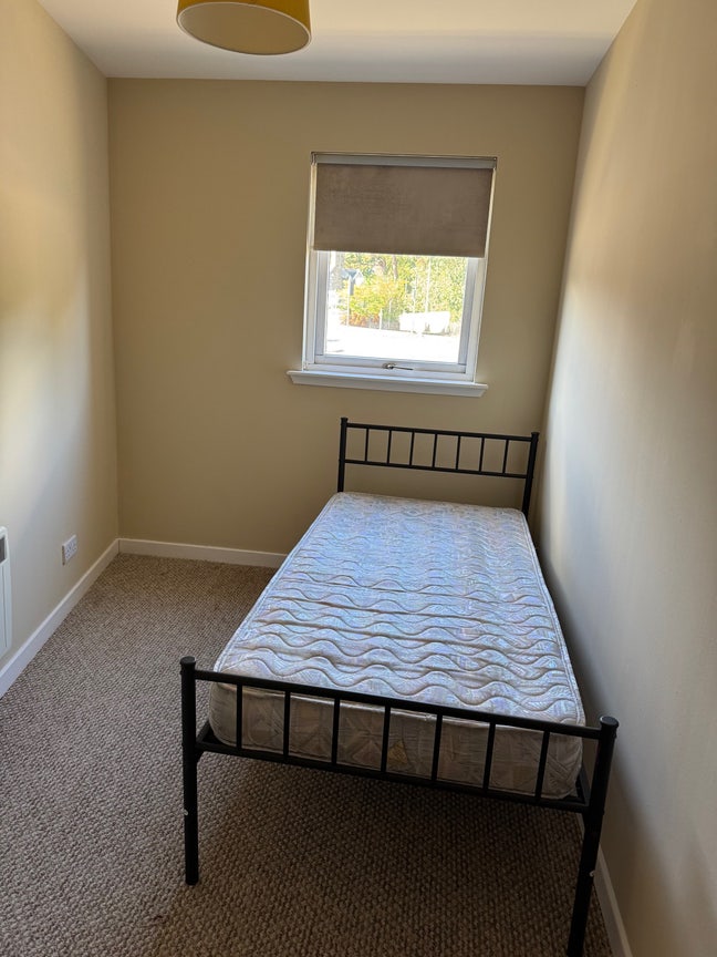 Room Available  Main Photo