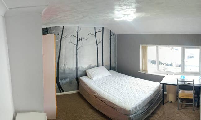 Spacious Double  Room Newport  Main Photo