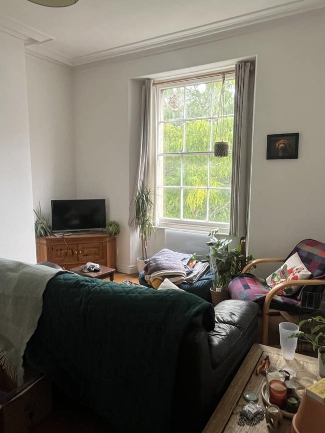 Room in 2 bed flat in the middle of Clifton Main Photo
