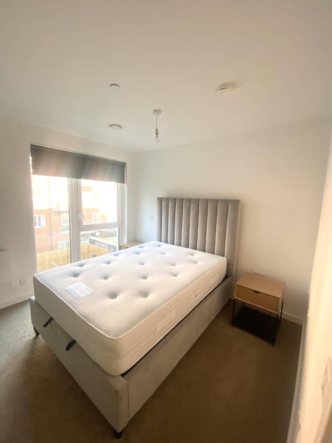 ISO flatmate/s (dog welcome!): End of Sept for min Main Photo