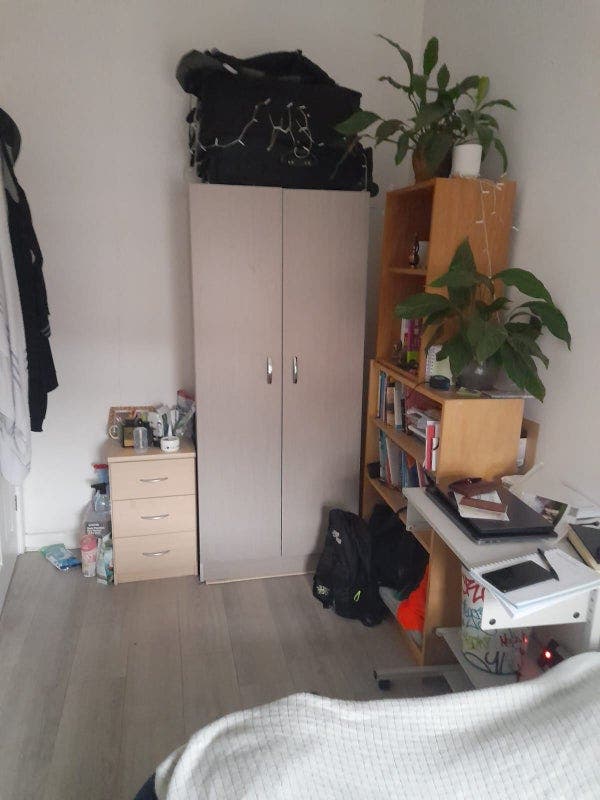 Single room to rent  Main Photo