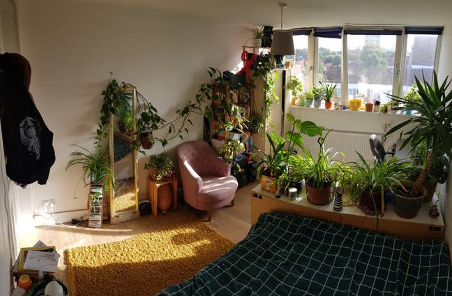 6 Months Sublet-Big Room in Friendly Broadway Flat Main Photo