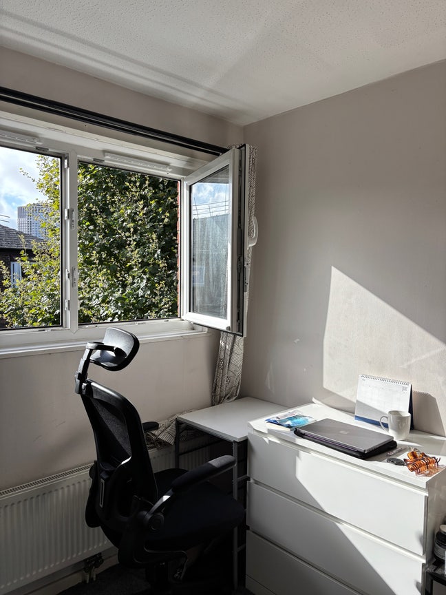 Looking for a female flatmate in a sunny room Main Photo