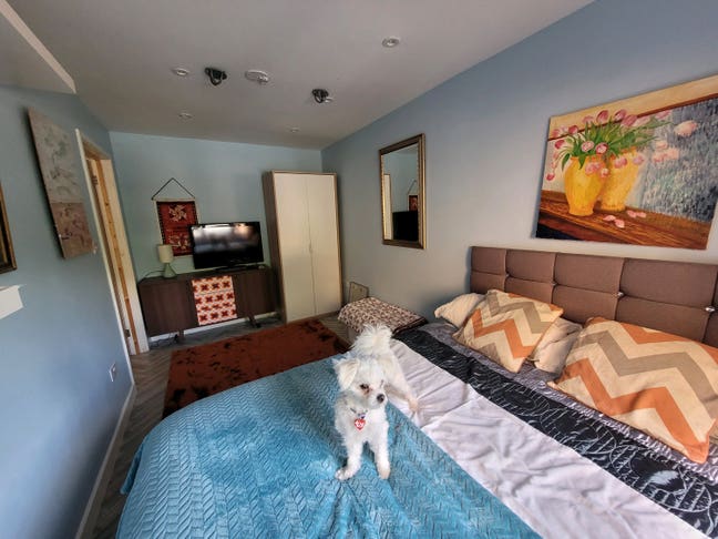 Ground floor double room available for rent Main Photo