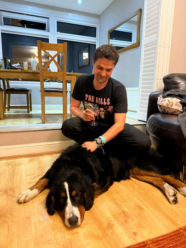 Friendly Professional & Gentle Giant Seeking Room  Main Photo