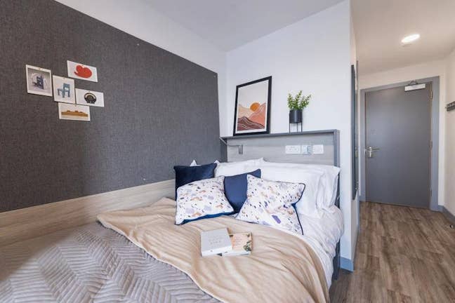 Student Platinum Ensuite at the Onyx Main Photo