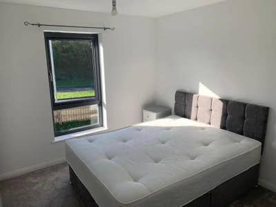 Room available for rent  Main Photo