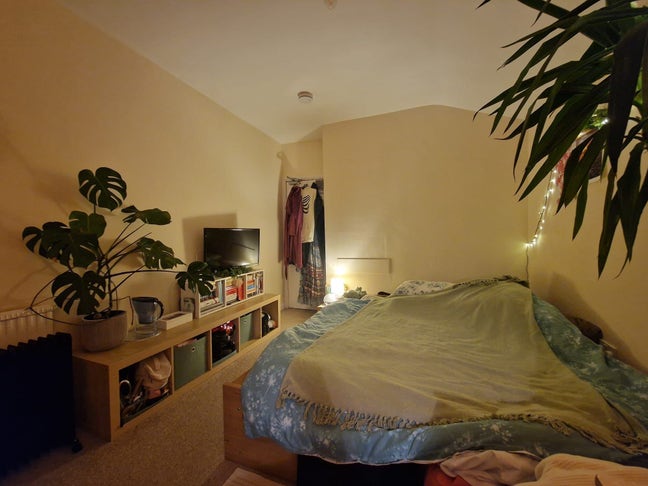 Furnished Dbl rm in prof hse on Ashley Down Rd Main Photo