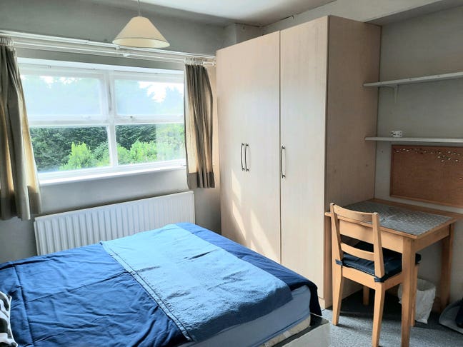 A Single Room. Main Photo