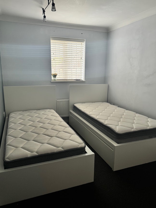 Twin Room available for two girls including bills Main Photo