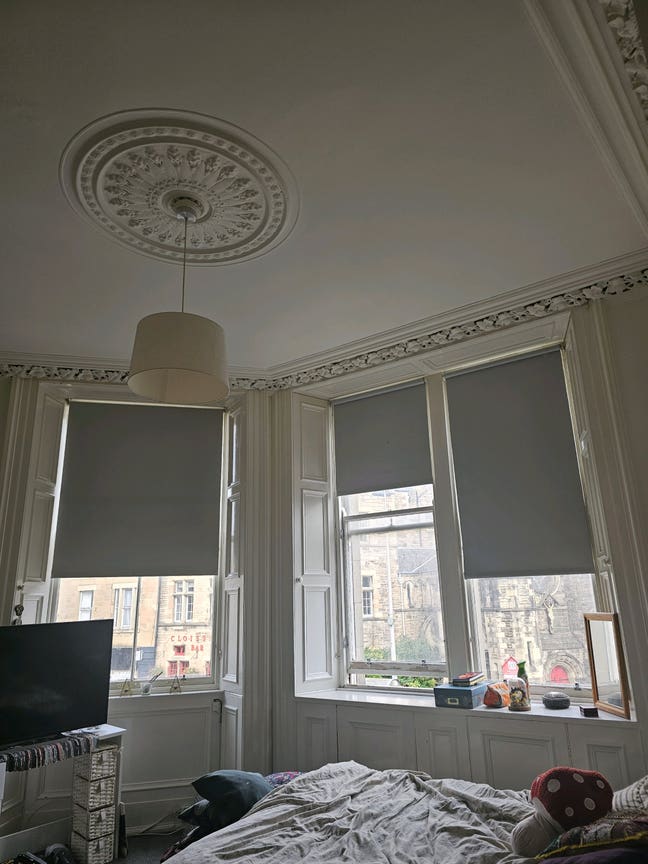 Big room for rent near meadows Main Photo