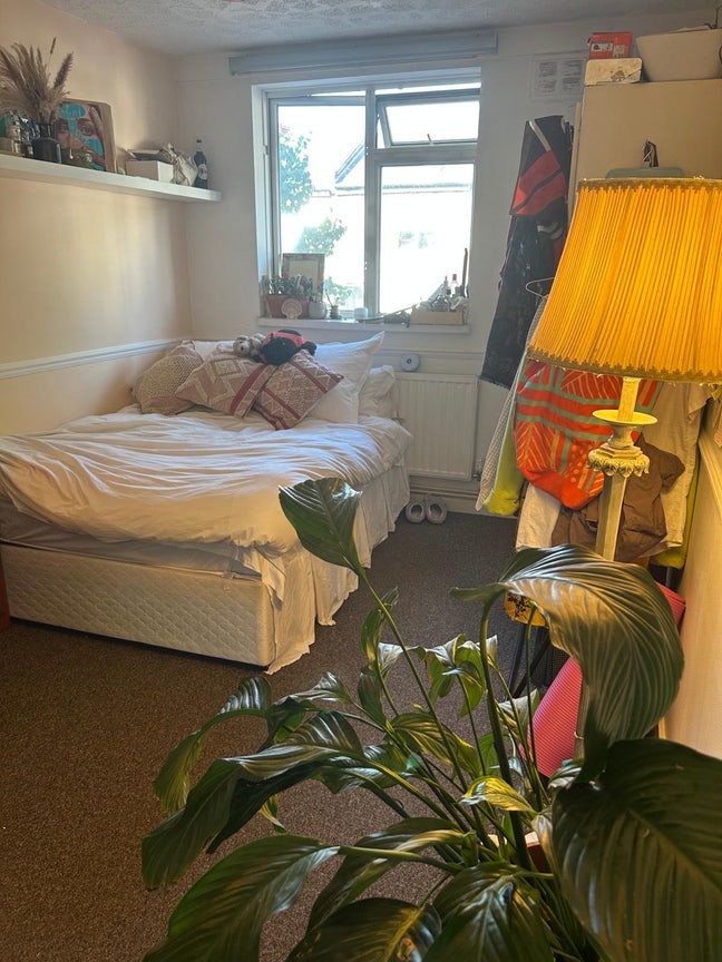 Big double room in queer home! 🐌 Main Photo