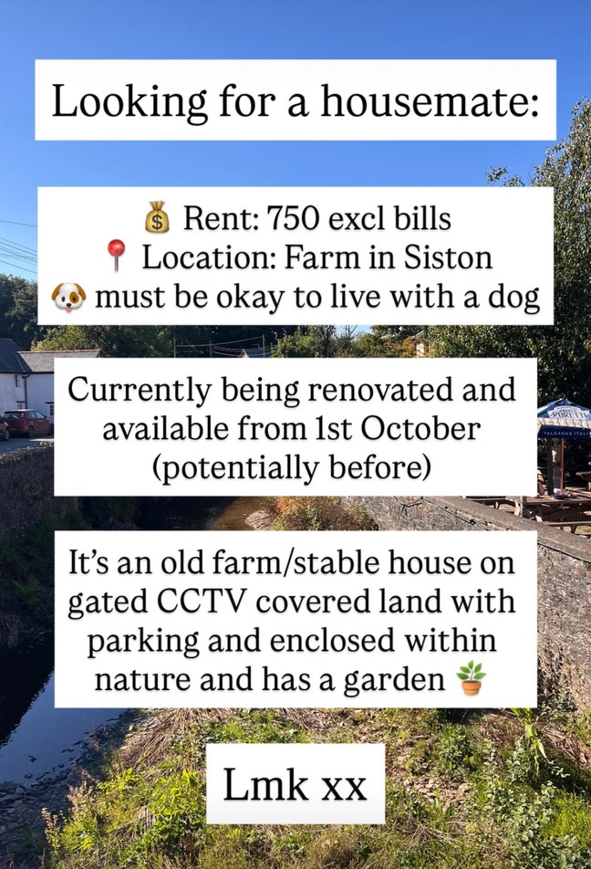 House mate needed - must be okay with a dog Main Photo