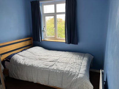 Single Room  Main Photo