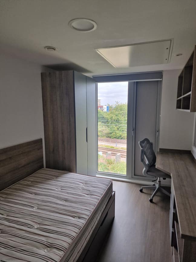 Albany student village - tenancy takover Main Photo