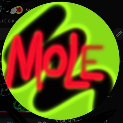 Professional Quiet Clean Tidy Male.  Main Photo