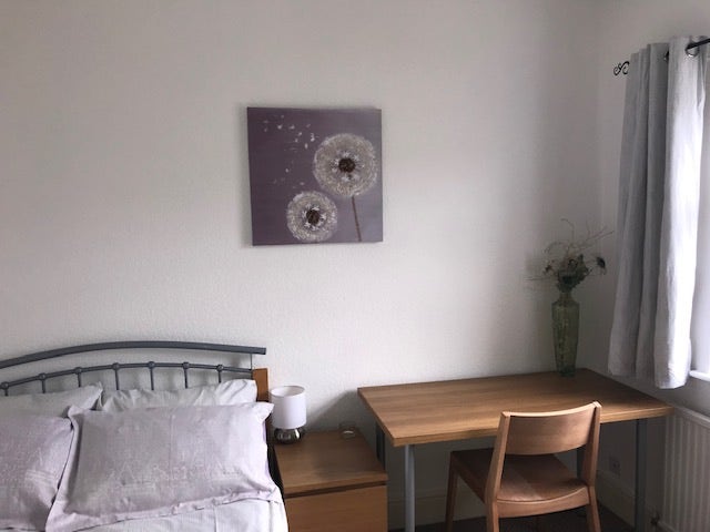 Double Room for single occupancy available Main Photo