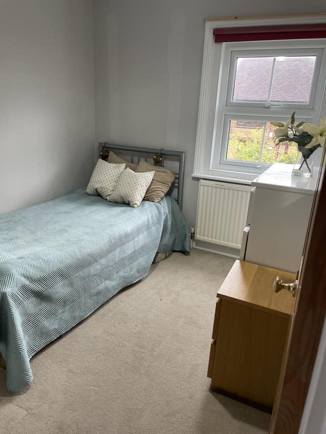 Comfortable Room in a Welcoming Home Main Photo