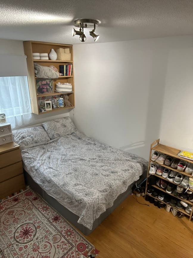 Double Room in cosy St Johns Wood flat Main Photo