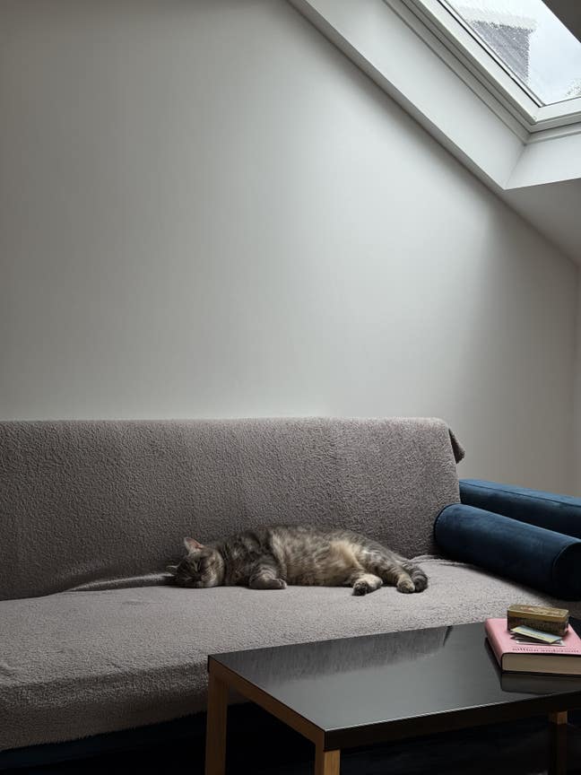 Cozy double room overlooking Alexandra Palace Main Photo