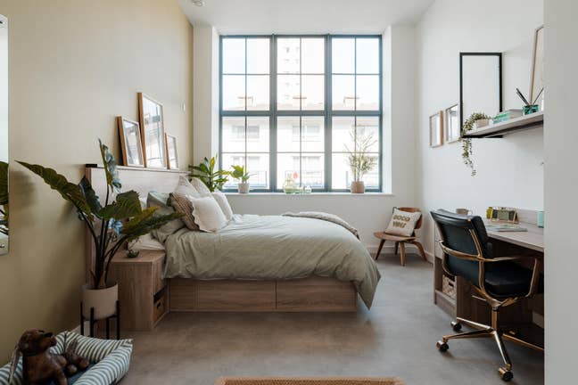 Premium Room in YourTRIBE Deptford! Main Photo