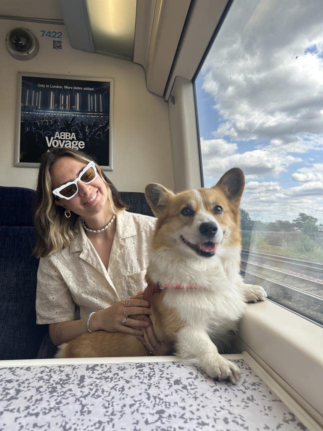 Looking for buddy up in 3 bed flat in Greenwich Main Photo