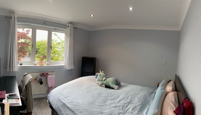 Vet student looking for flatmate Main Photo